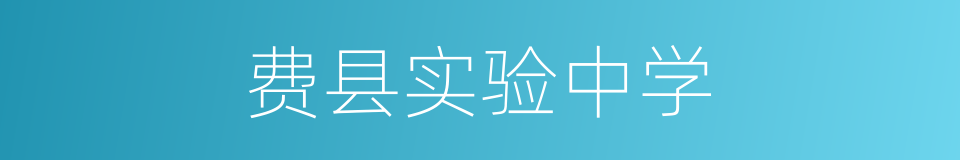 费县实验中学的同义词