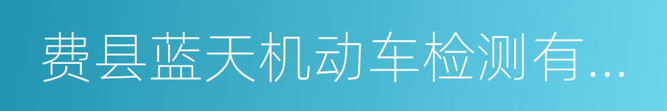 费县蓝天机动车检测有限公司的同义词