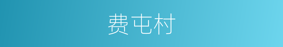 费屯村的同义词