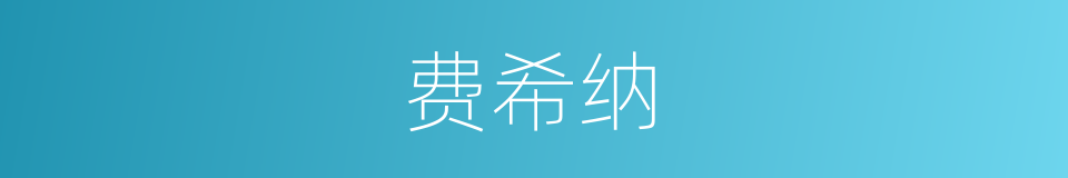 费希纳的同义词