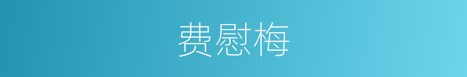 费慰梅的同义词