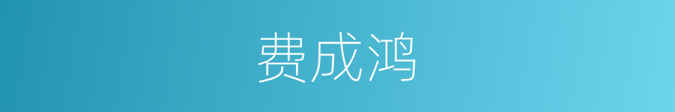 费成鸿的同义词