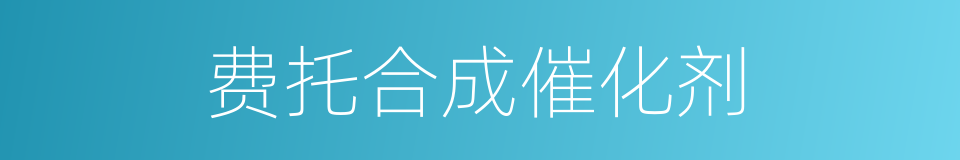 费托合成催化剂的同义词