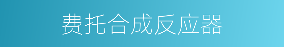 费托合成反应器的同义词