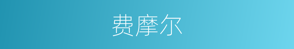 费摩尔的同义词