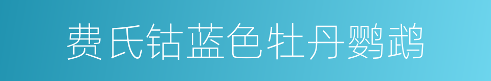 费氏钴蓝色牡丹鹦鹉的同义词