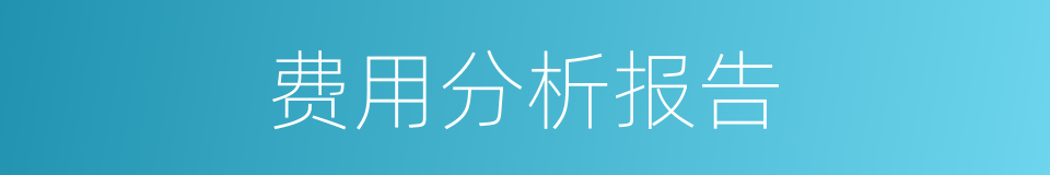 费用分析报告的同义词