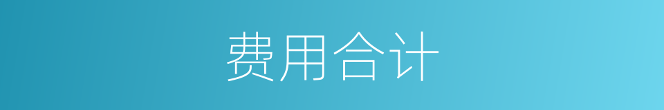 费用合计的同义词