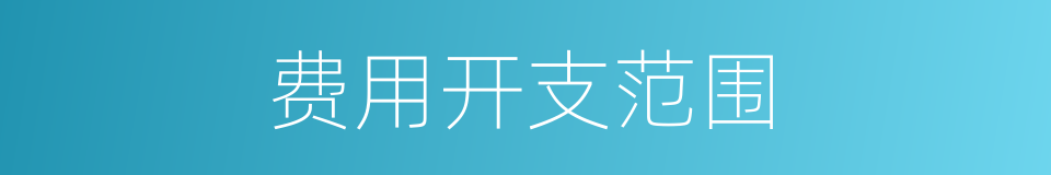 费用开支范围的同义词