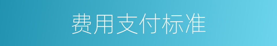 费用支付标准的同义词