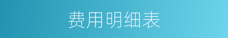 费用明细表的同义词