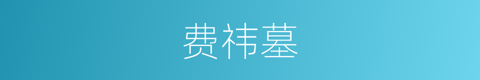 费祎墓的同义词