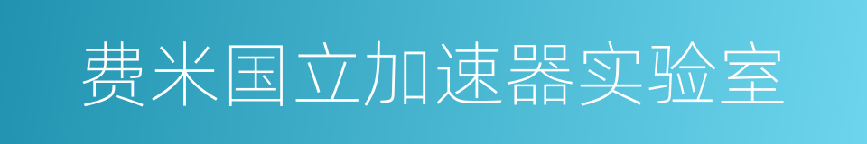 费米国立加速器实验室的同义词