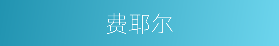 费耶尔的同义词