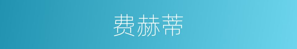 费赫蒂的同义词