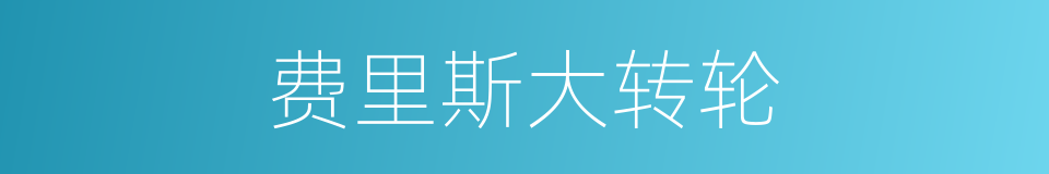 费里斯大转轮的同义词