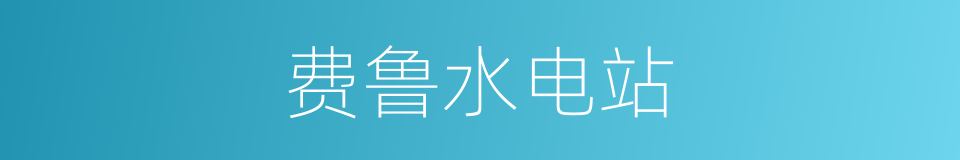 费鲁水电站的同义词