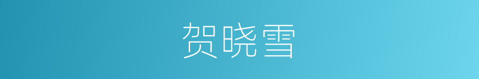 贺晓雪的同义词