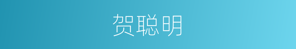 贺聪明的同义词