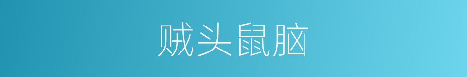 贼头鼠脑的意思