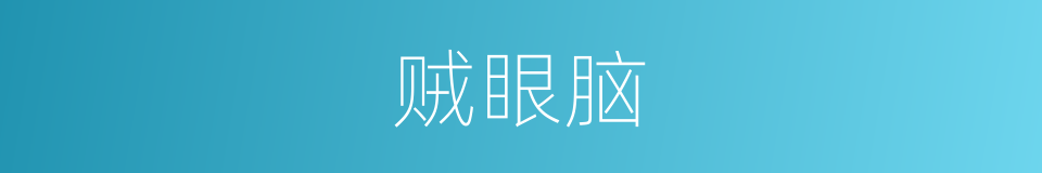 贼眼脑的同义词