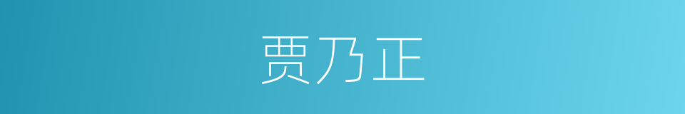 贾乃正的同义词