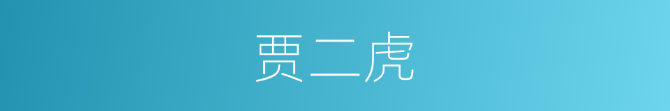 贾二虎的同义词