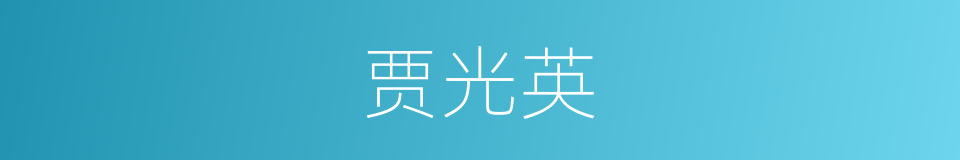 贾光英的同义词
