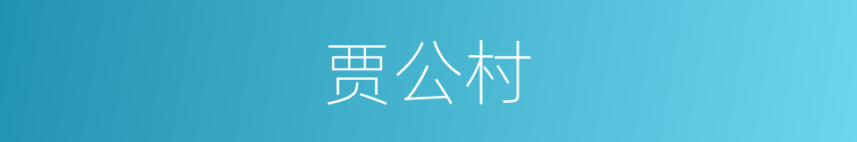 贾公村的同义词