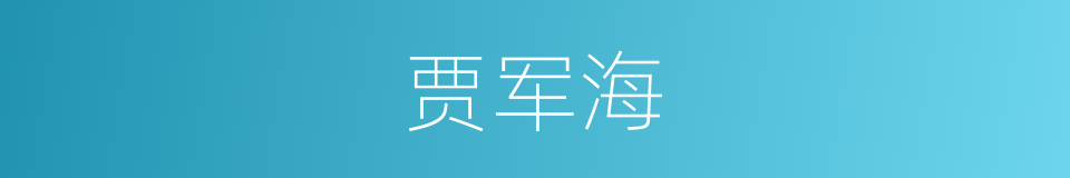 贾军海的同义词
