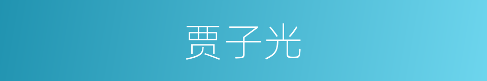 贾子光的同义词