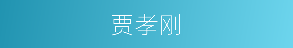 贾孝刚的同义词