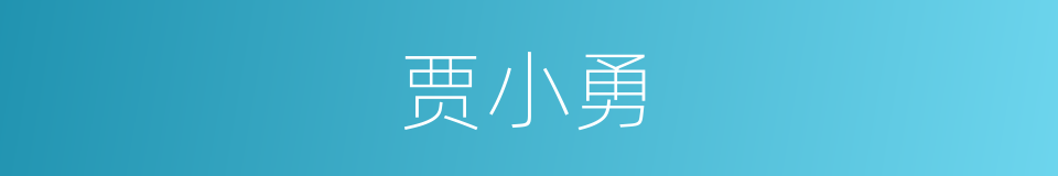 贾小勇的同义词