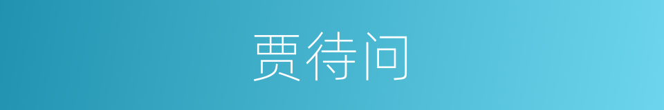 贾待问的同义词