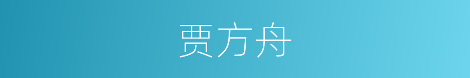 贾方舟的同义词