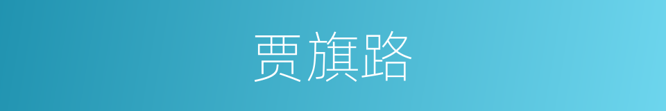 贾旗路的同义词