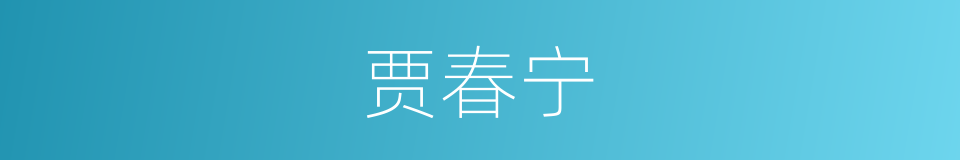 贾春宁的同义词