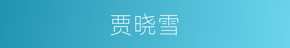 贾晓雪的同义词