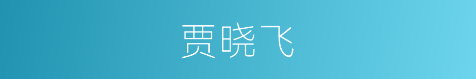 贾晓飞的同义词