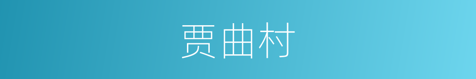 贾曲村的同义词