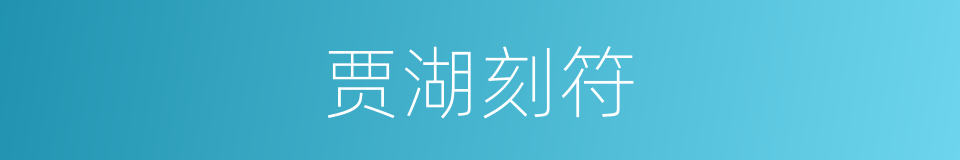 贾湖刻符的同义词