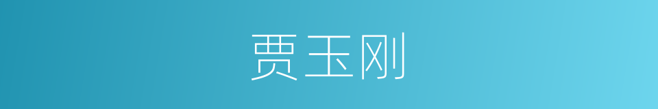 贾玉刚的同义词