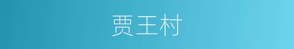 贾王村的同义词