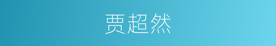 贾超然的同义词
