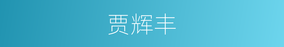 贾辉丰的同义词