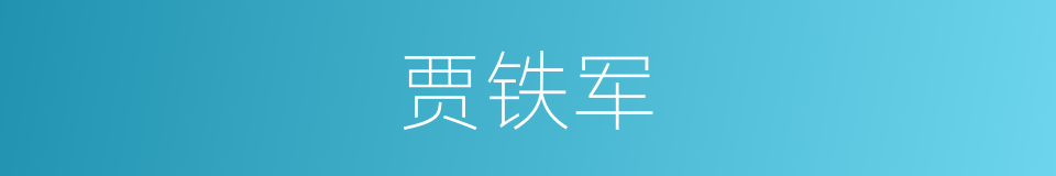 贾铁军的同义词