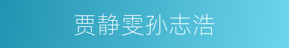 贾静雯孙志浩的同义词