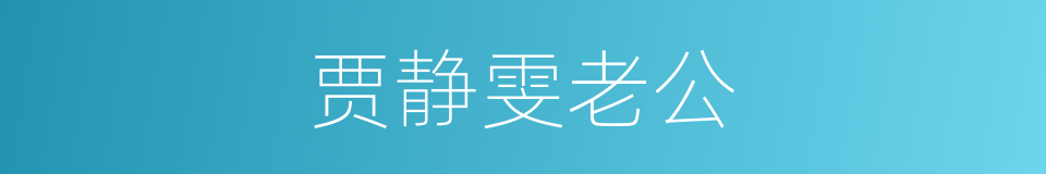 贾静雯老公的同义词