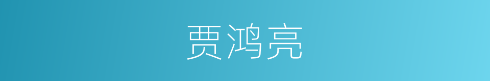 贾鸿亮的同义词