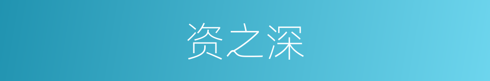 资之深的同义词